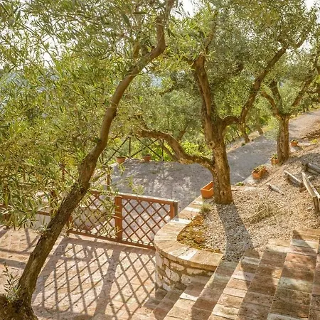 Umbrian